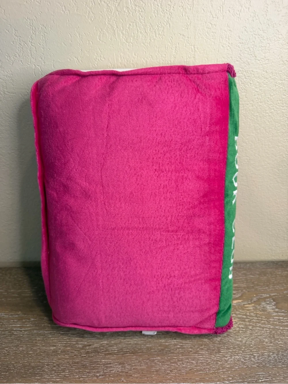 Target Book Club Plush Pillow